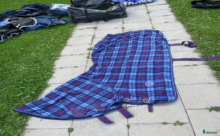 Täcken hästutrustning till salu i Glanshammar - Annons 15