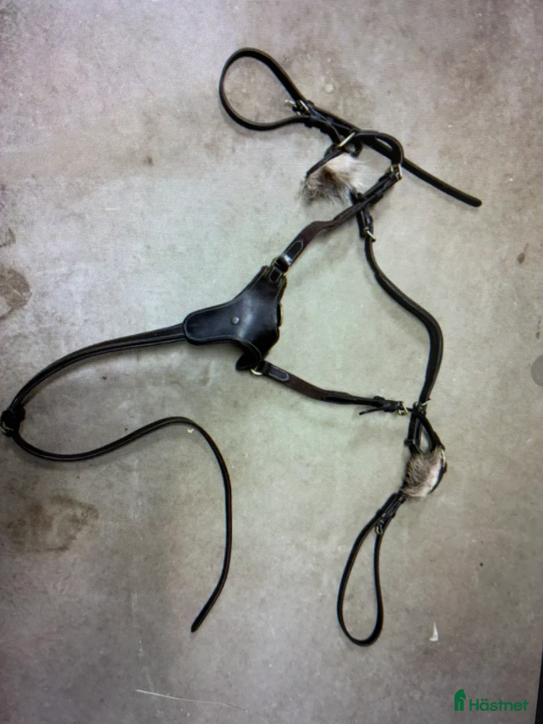 Övrig Hästutrustning hästutrustning till salu: Brösta med martingal i Segeltorp - Annons 2