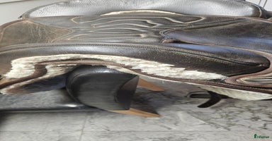 Sadlar hästutrustning till salu i Skurup - Annons 7