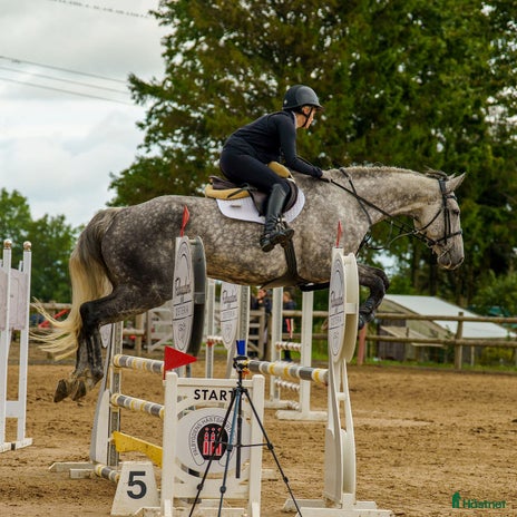 hästar i Skövde - Annons 6