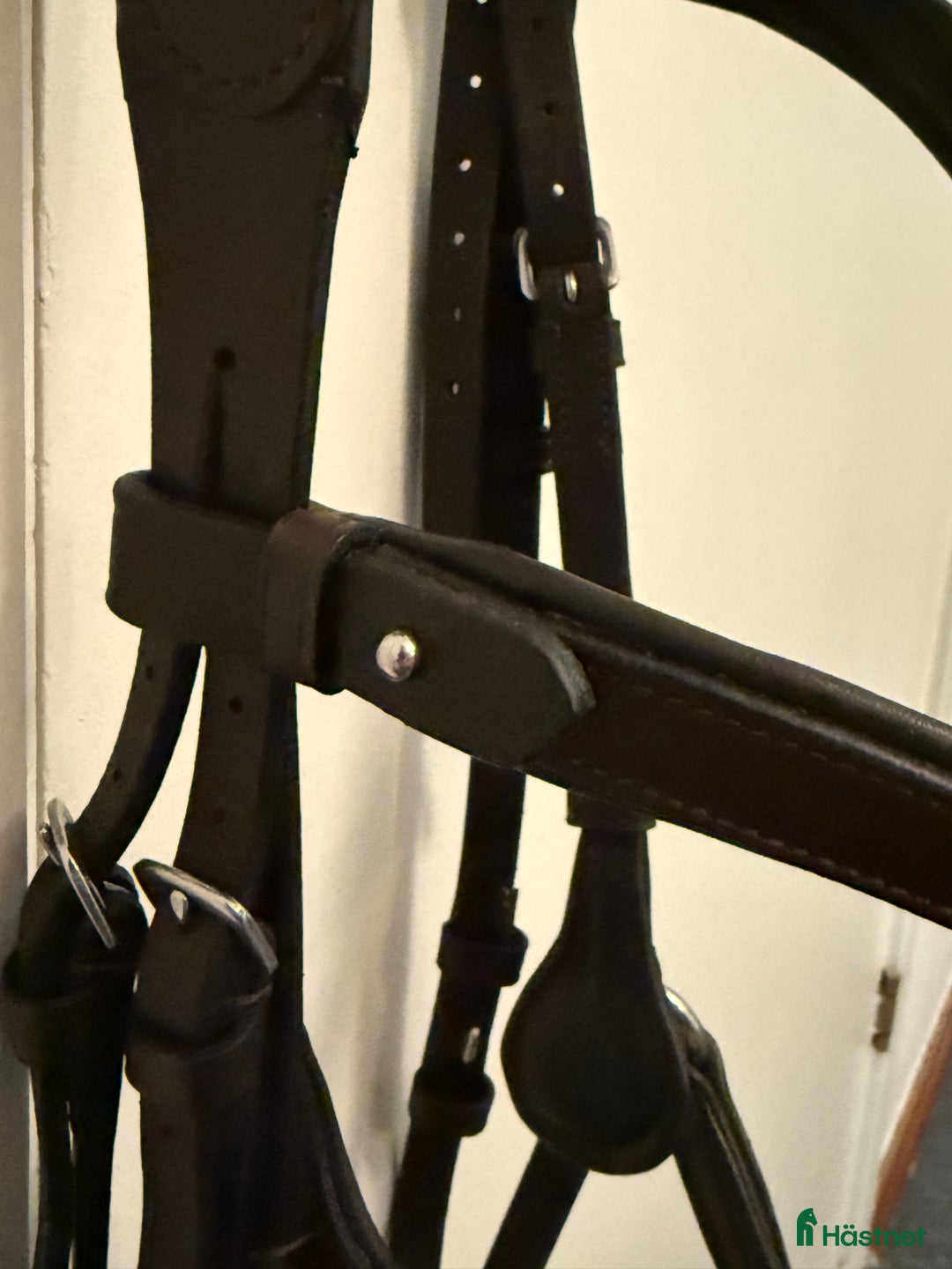 Träns hästutrustning till salu: Pullarträns i nyskick i Örebro - Annons 4