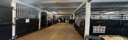  stallplats finnes: Stallplats på fina Aspvik! - Annons 2