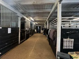stallplats Stallplats på fina Aspvik! - Annons 13