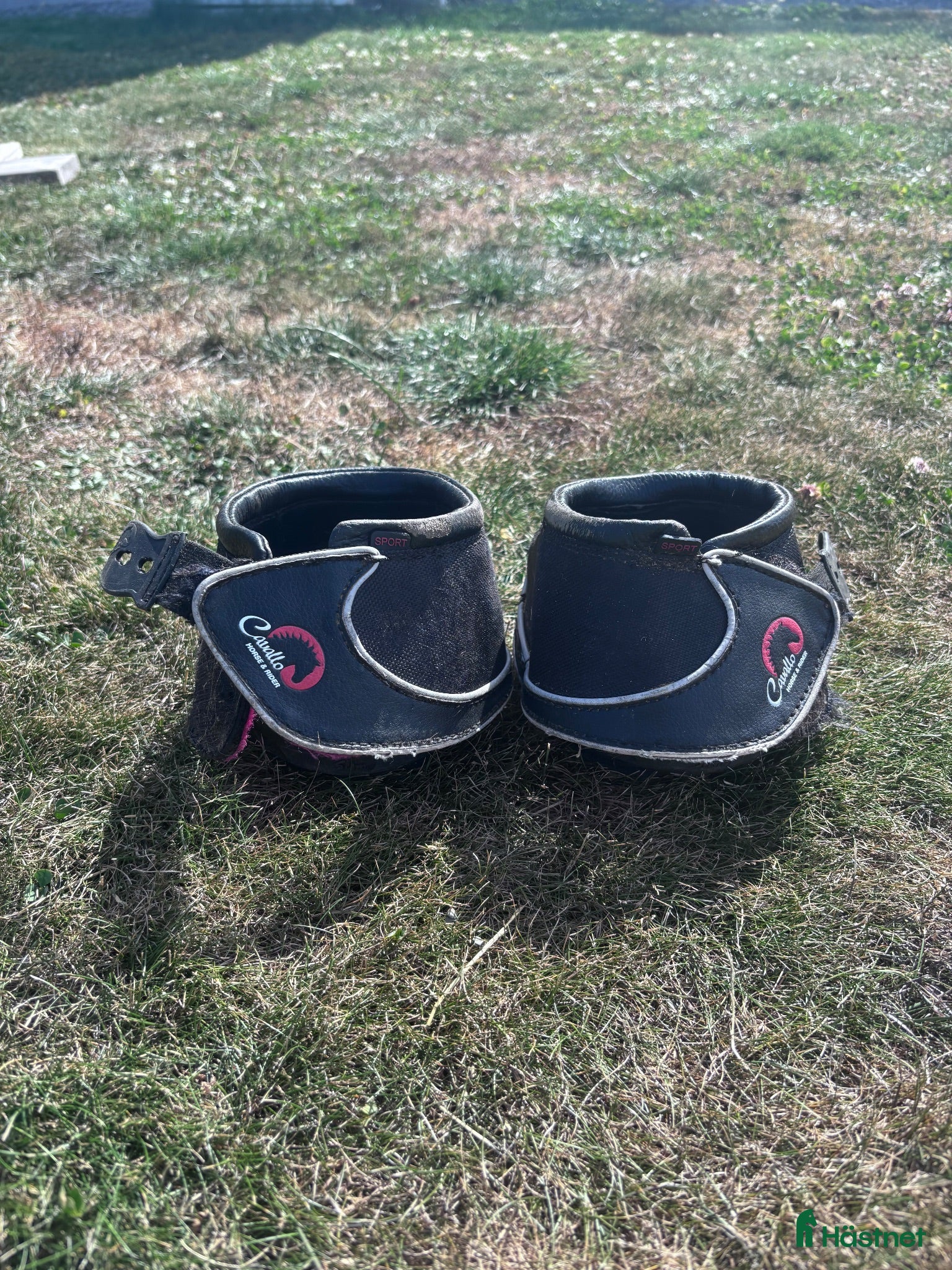 Övrig Hästutrustning hästutrustning till salu: Säljes Cavallo boots med brodd, Stl 1 - Annons 2