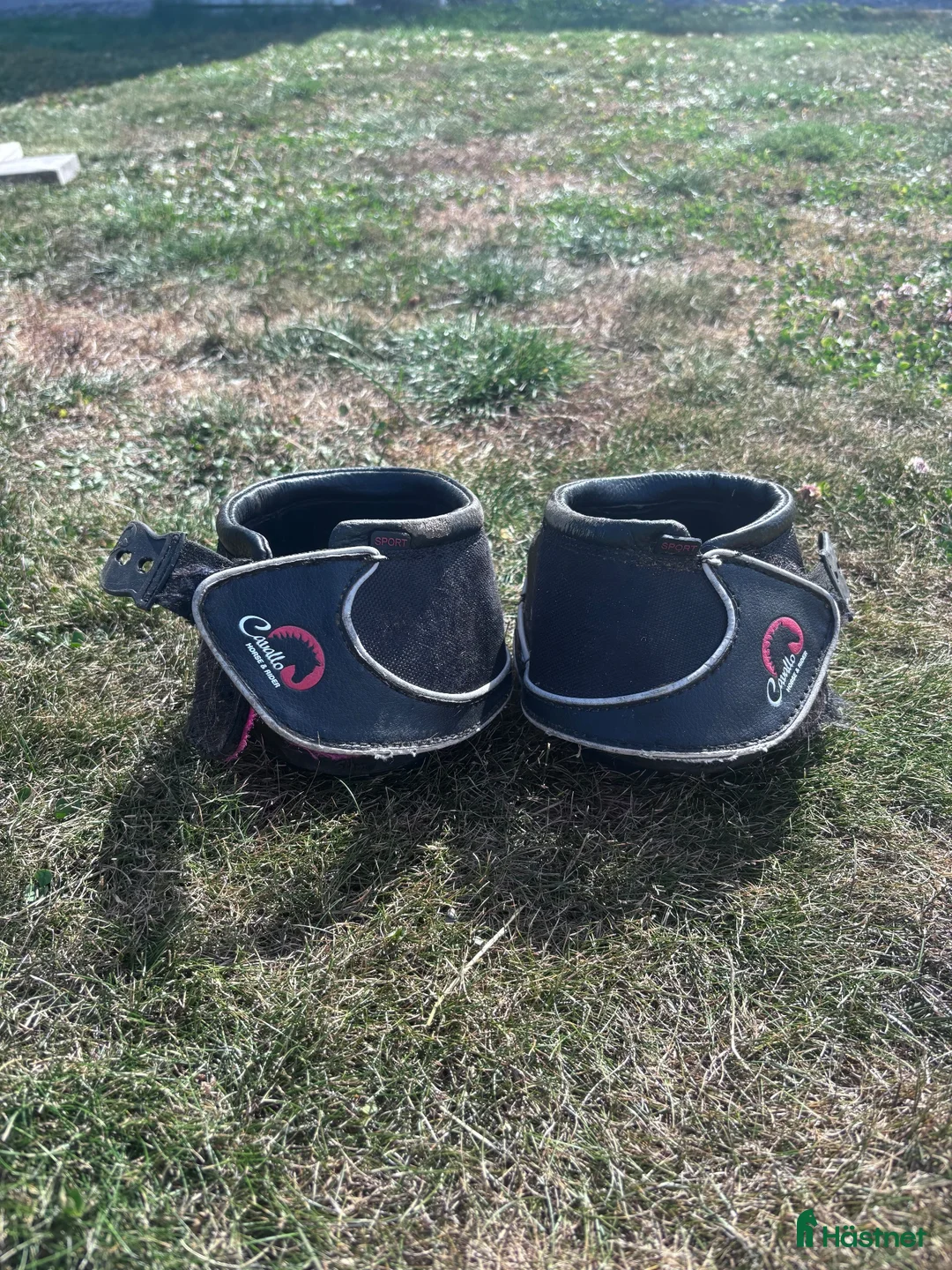 Övrig Hästutrustning hästutrustning till salu: Säljes Cavallo boots med brodd, Stl 1 - Annons 1
