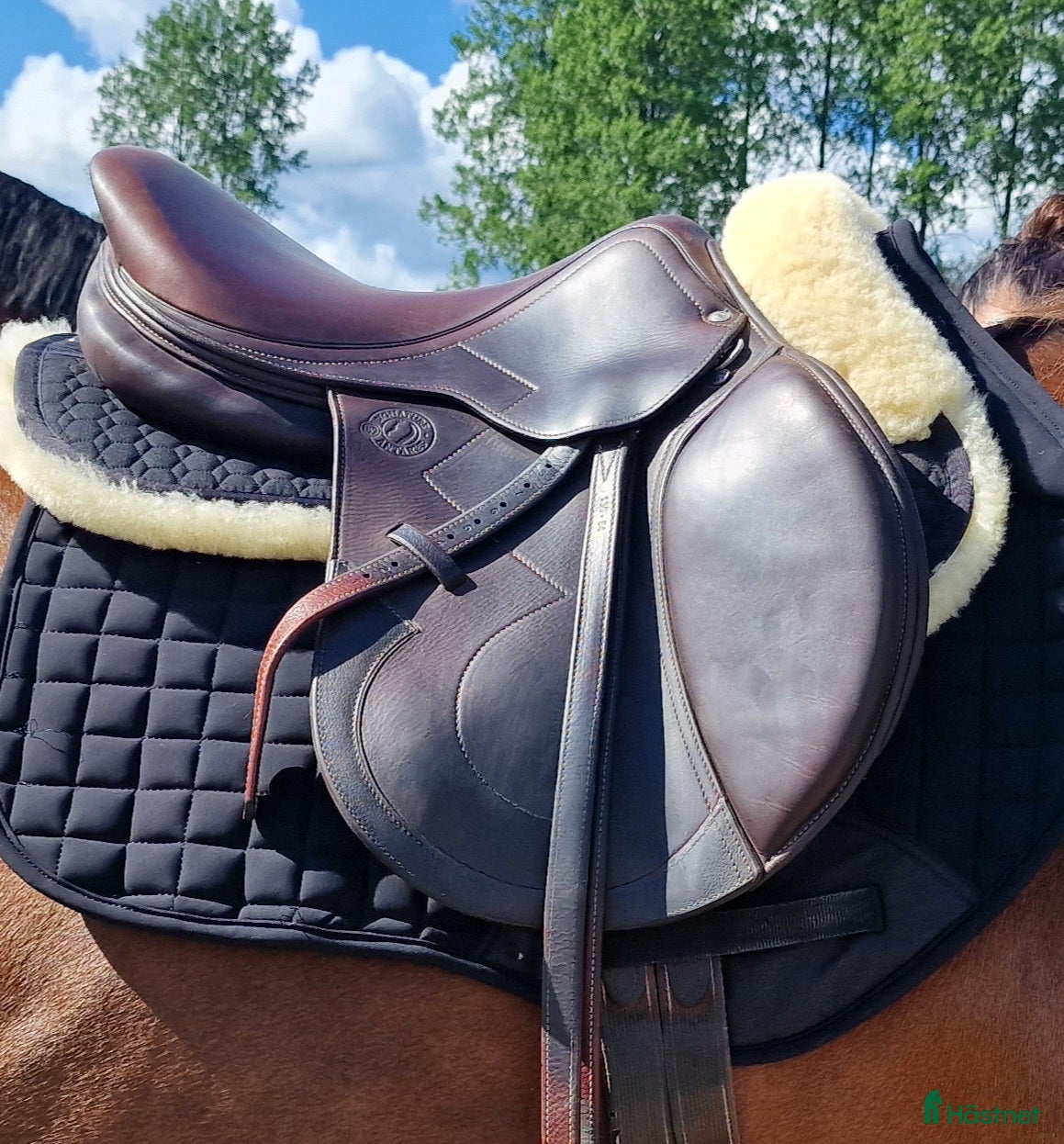 Sadlar hästutrustning Antares Signature 17,5t i fint skick - Annons 3