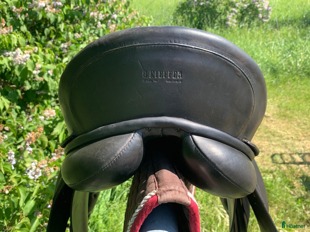 Sadlar hästutrustning till salu: Svart Kieffer med djup sits i Rånäs - Annons 3
