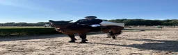  hästservice finnes: Tävling/träning för din häst/ponny erbjuds - Annons 2