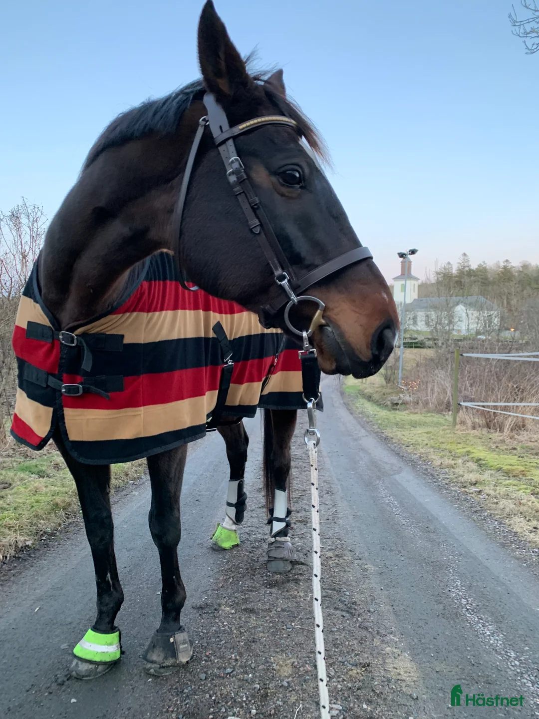 Träns hästutrustning till salu: Dyon träns i brunt i Särö - Annons 2