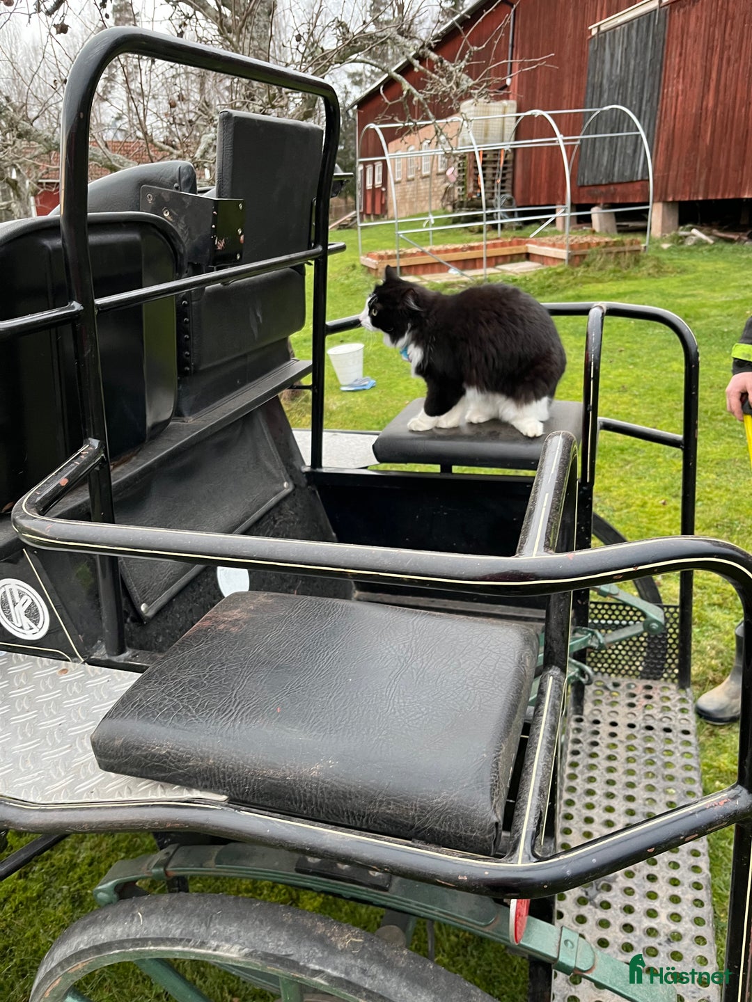 Körvagnar körning till salu: Maratonvagn storhäst i Västra Ämtervik - Annons 12