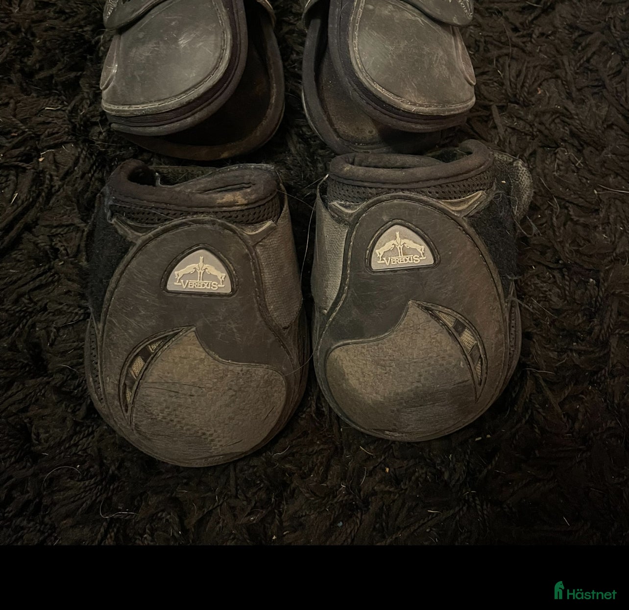 Benskydd hästutrustning till salu: Veredus bakskydd i Luleå - Annons 9