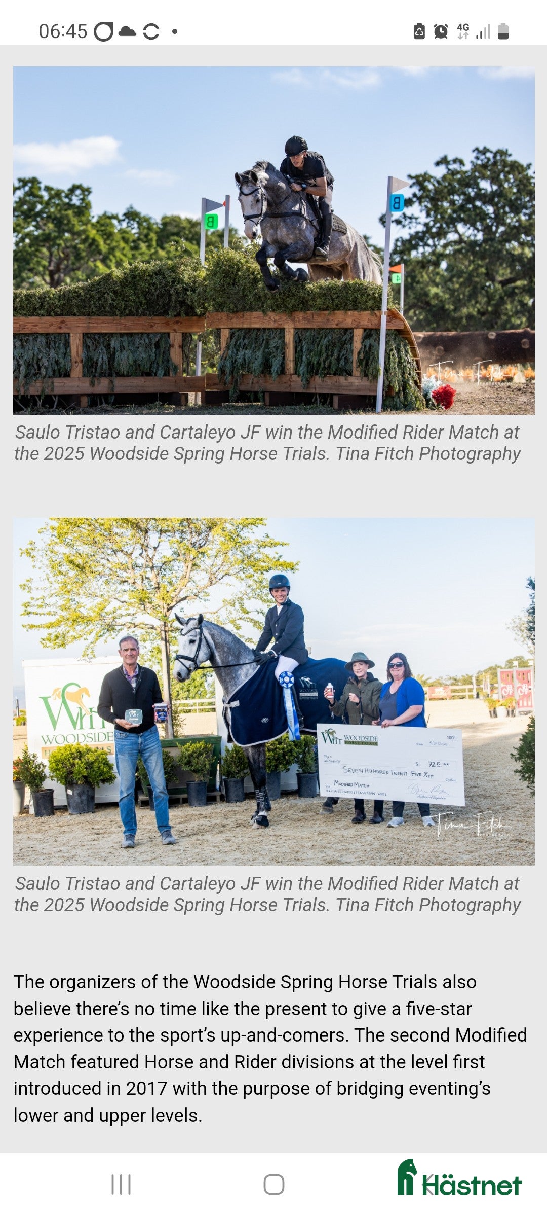 Hoppning hästar till salu: Härligt hingstföl med framåtanda ! i Sävsjö - Annons 6