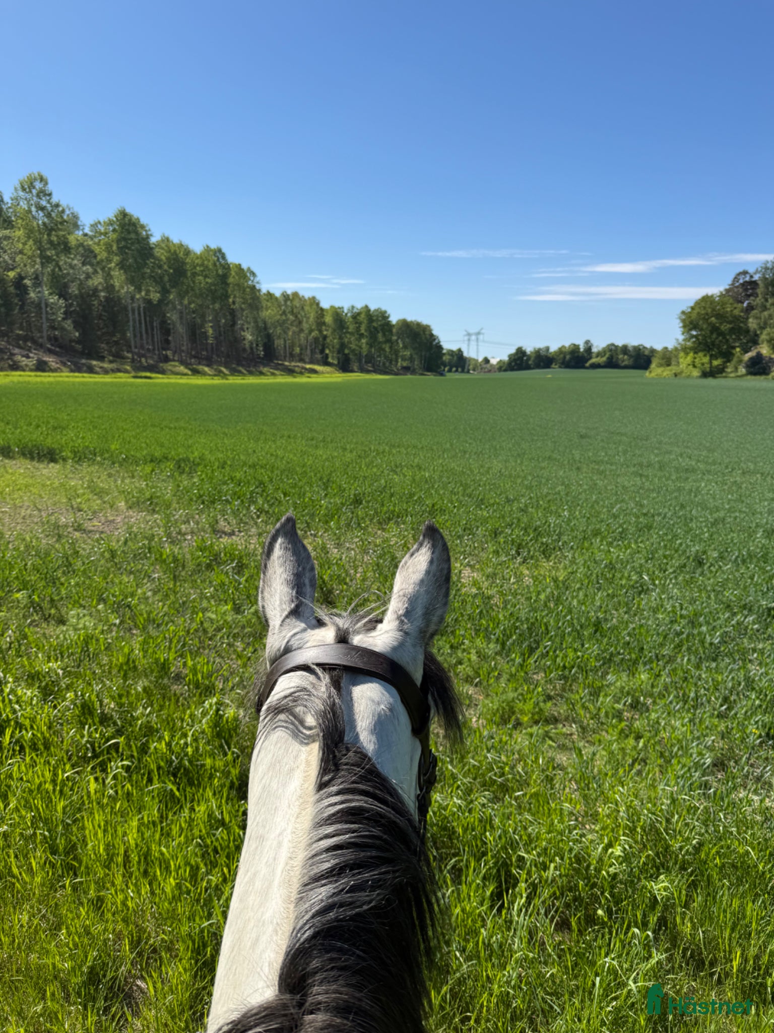  stallplats finnes: Stallplats - Annons 1