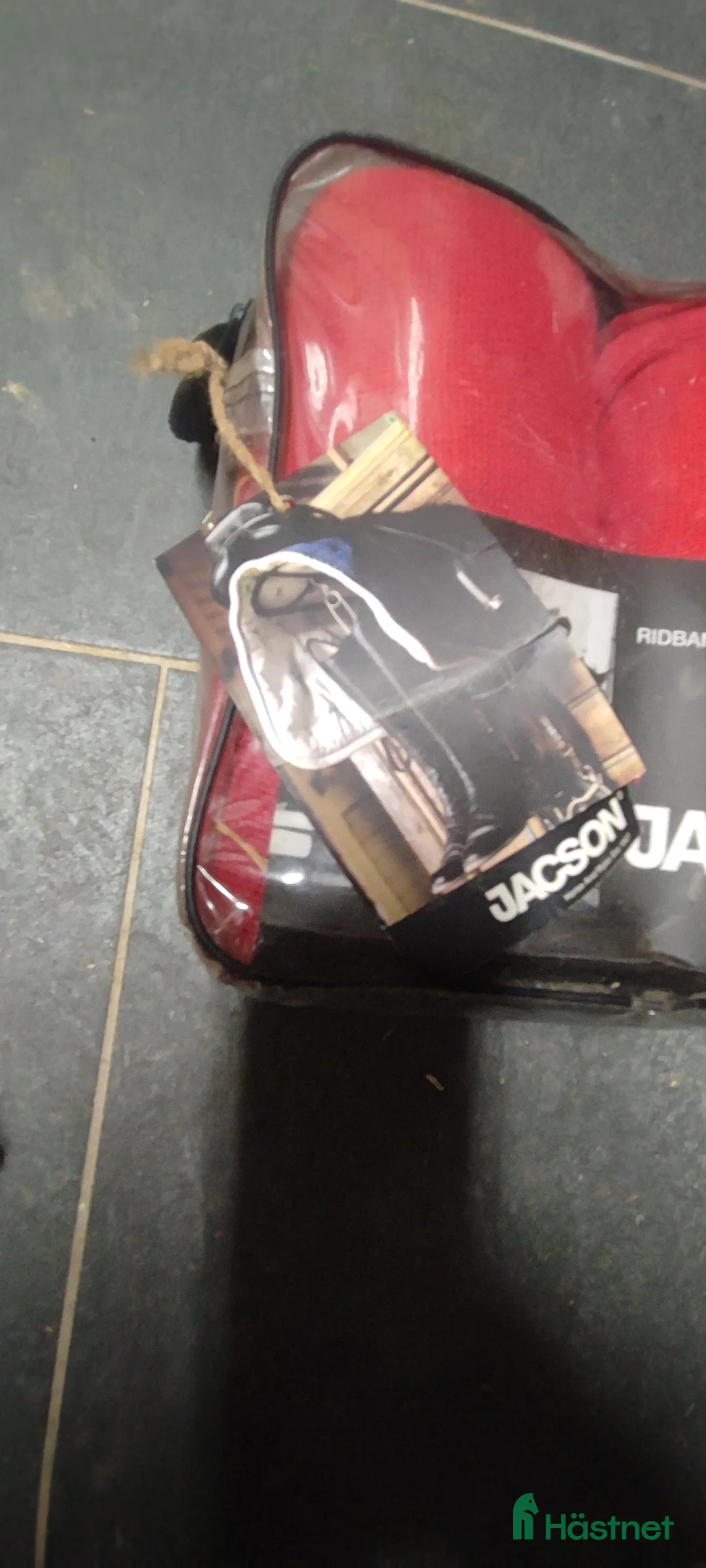 Benskydd hästutrustning till salu: Lindor till salu!  i Frövi - Annons 4