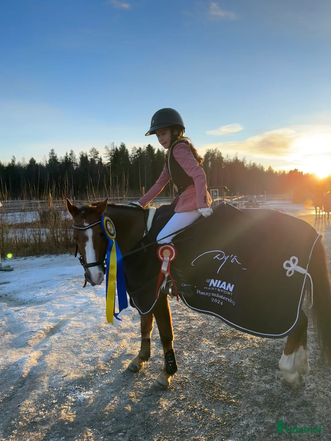 Allround hästar till salu: Fantastiskt fin läromästare B-ponny  i Luleå - Annons 2