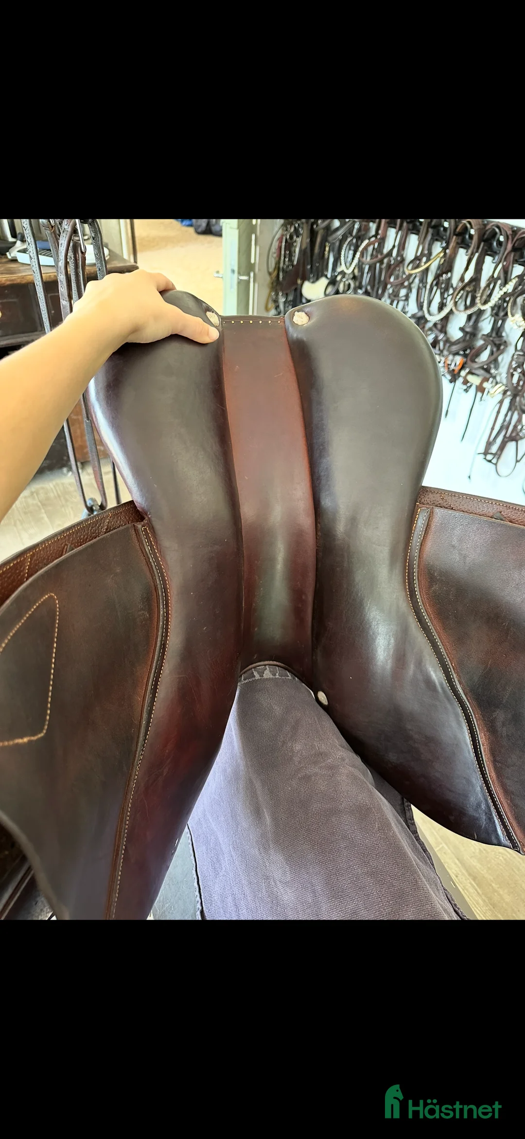 Sadlar hästutrustning till salu: Cwd SE02 sadel!! i Ekerö - Annons 6