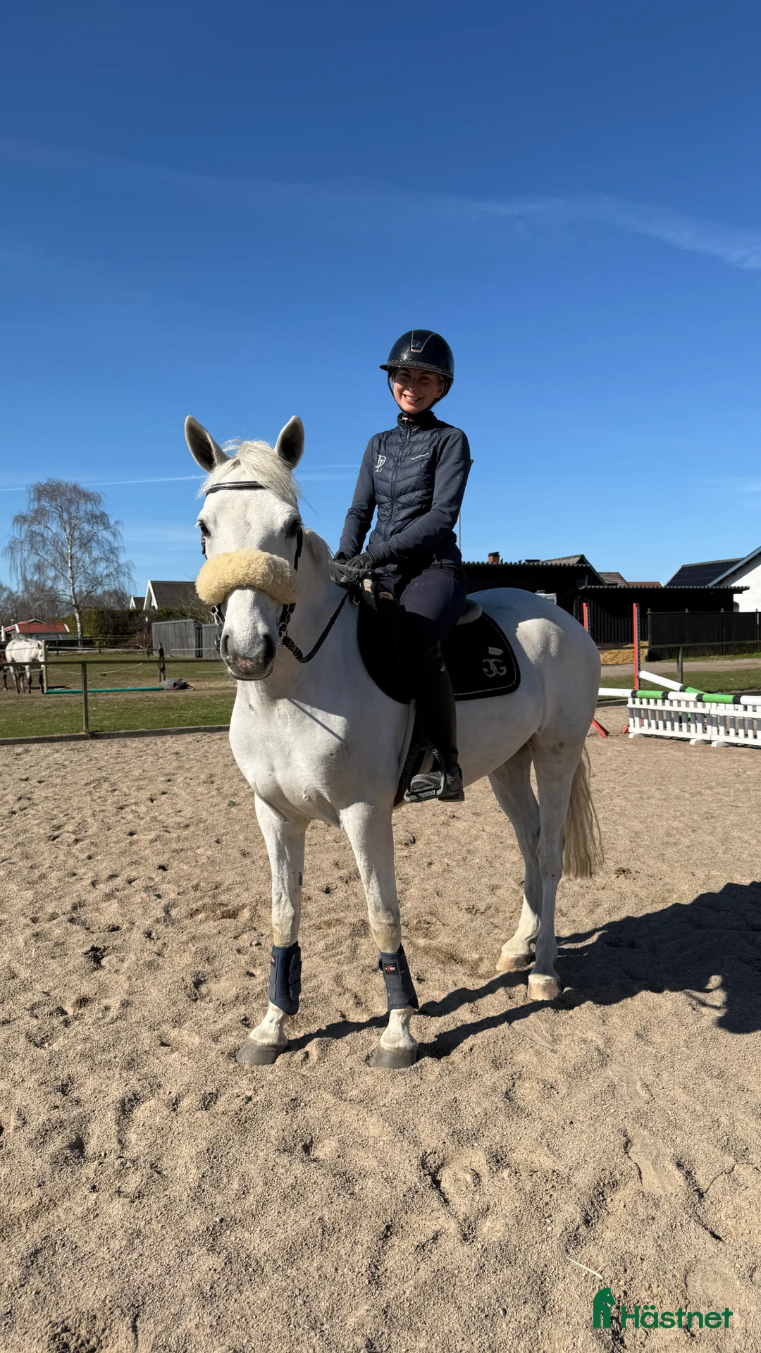 Hoppning hästar till salu: Kvalitetsponnyer och bästa vänner - Annons 1