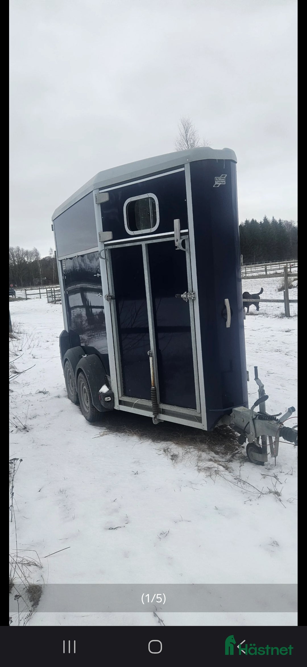 Hästtransporter  fordon & transport till salu: Ifor Williams HB403R  i Södra Sandby - Annons 1