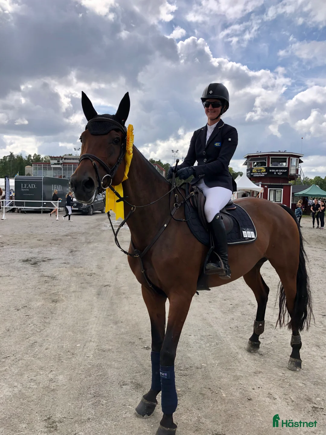  hästjobb finnes: Hästskötare  - Annons 2