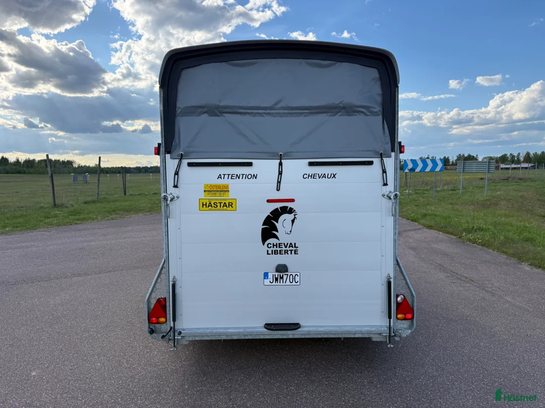 Hästtransporter  fordon & transport till salu: Cheval Maxi2 -22 - Annons 6