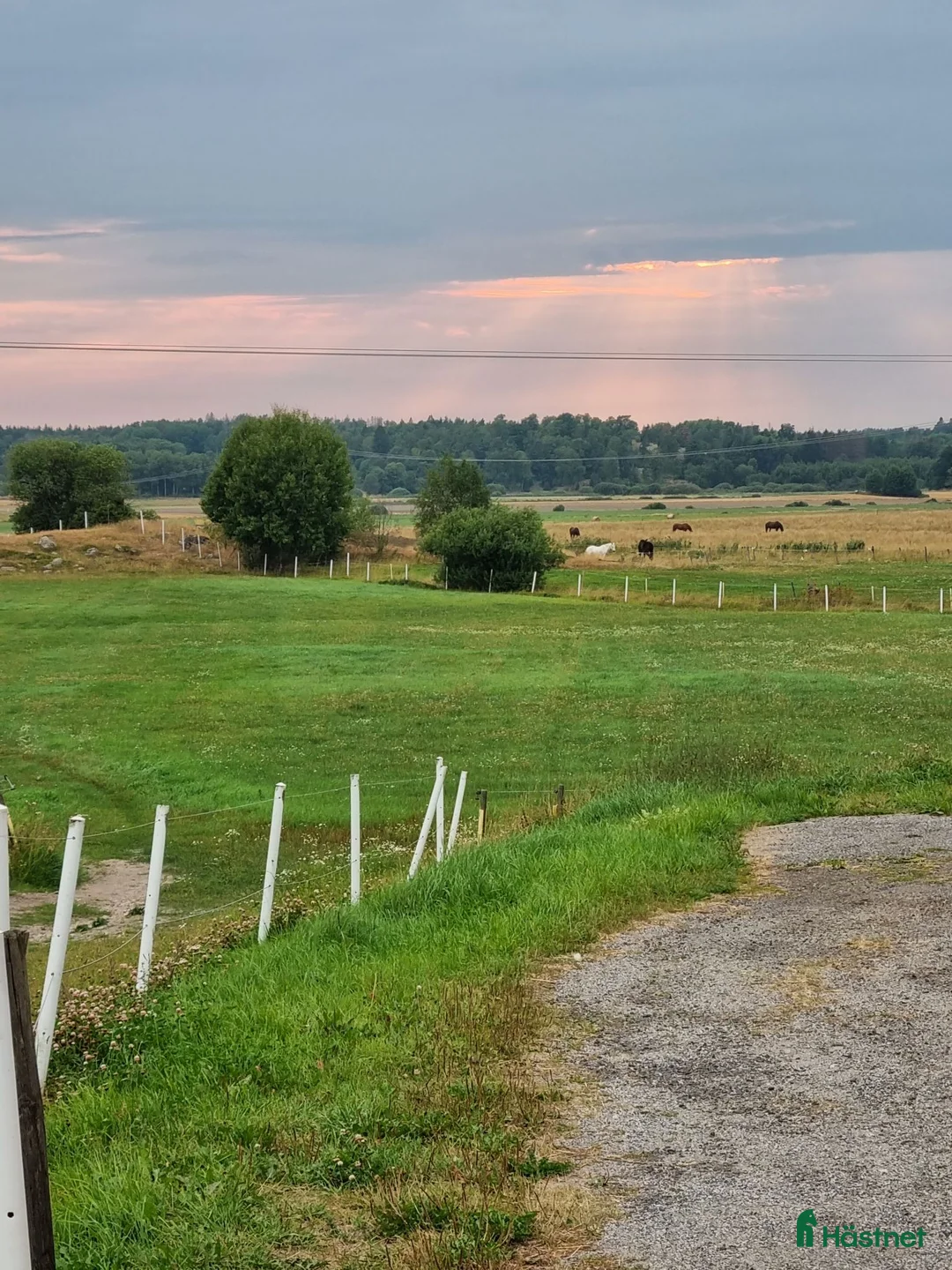  stallplats finnes: Stallplats för valack i Angarn - Annons 6