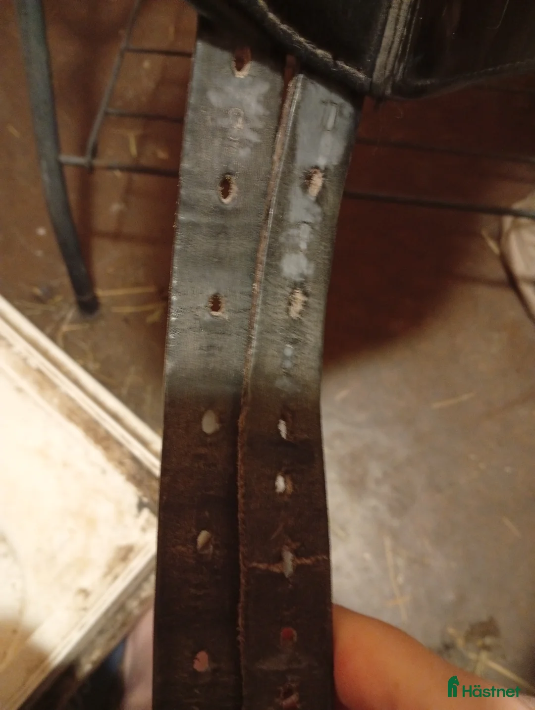 Sadlar hästutrustning till salu: Jättefin dressyrsadel - Annons 3