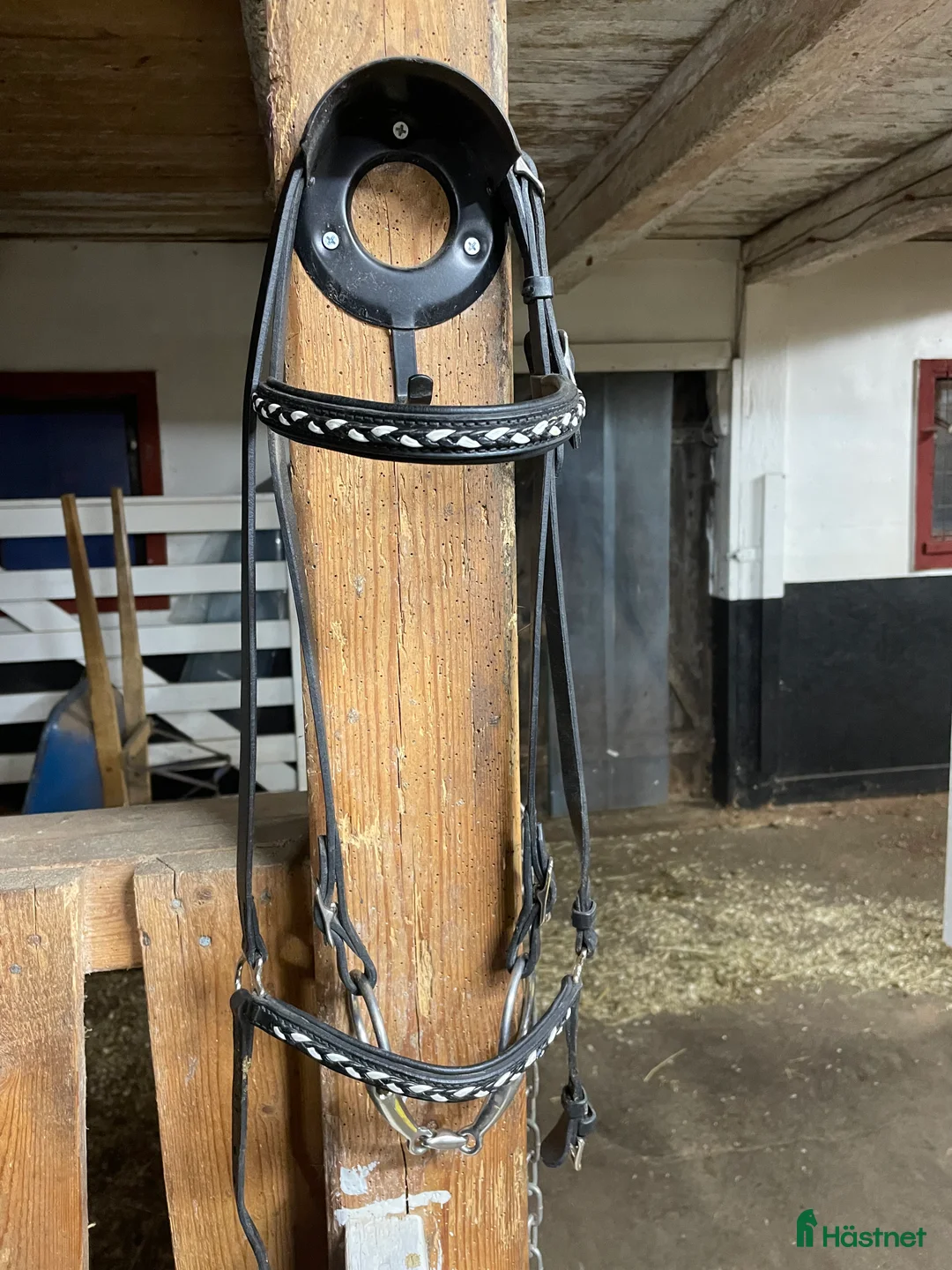 Träns hästutrustning till salu: Islandshästträns i Norrhult - Annons 2