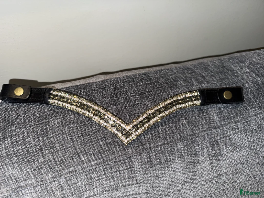 Träns hästutrustning till salu: Pannband minishetland  - Annons 2