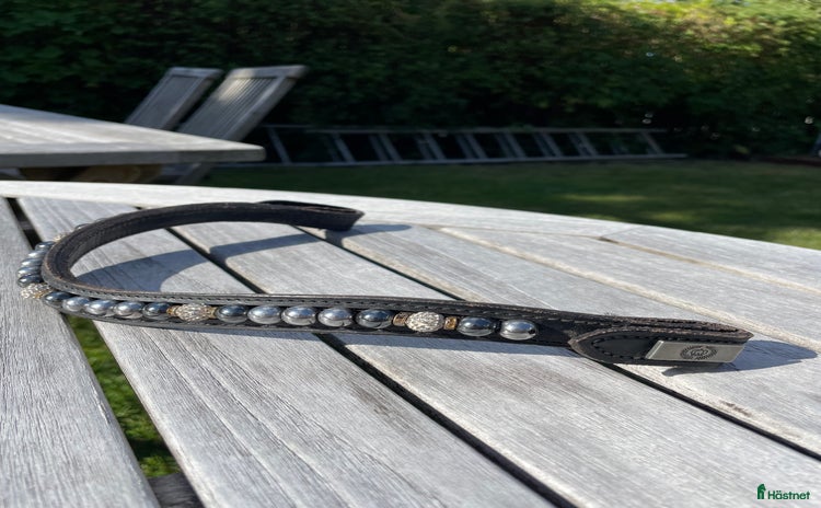 Övrig Hästutrustning hästutrustning till salu i Askim - Annons 8
