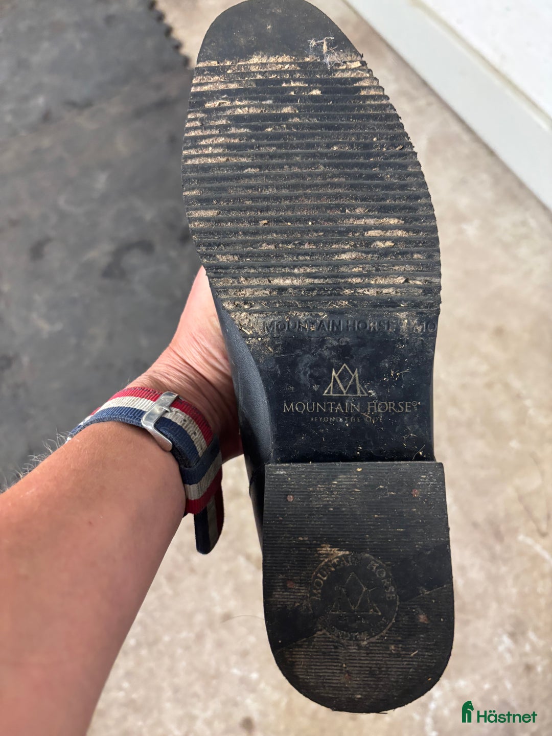 Ridstövlar ryttarutrustning till salu: Ridstövlar dressyr och hopp säljes i Gränna - Annons 7