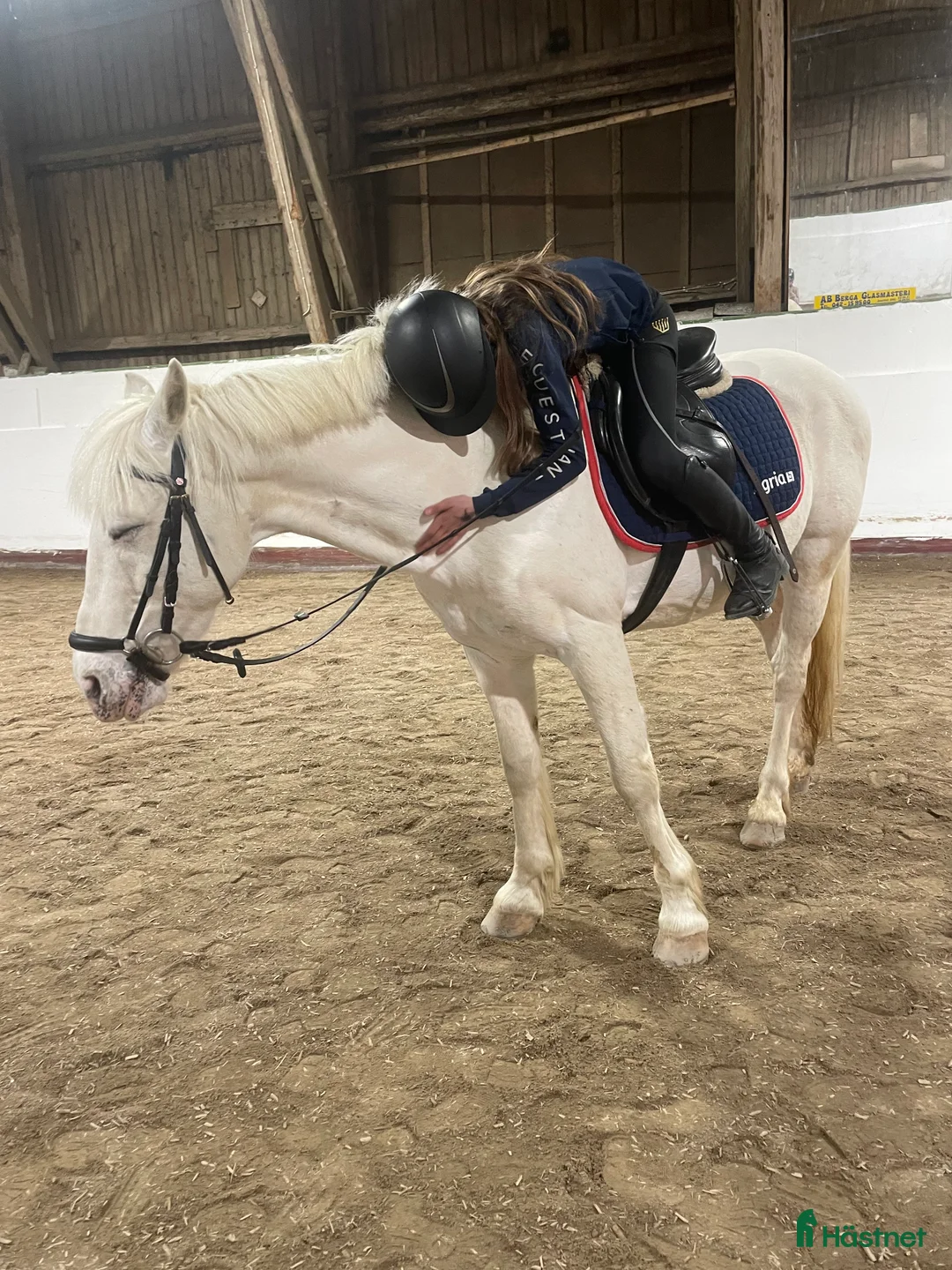 Allround hästar sökes: Medryttare finnes i Helsingborg - Annons 2