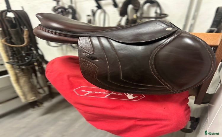 Sadlar hästutrustning till salu: Cwd SE02  i Skara - Annons 10