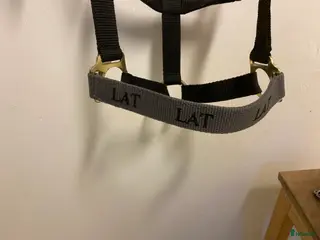 Övrig Hästutrustning hästutrustning till salu: Grimma i Jönköping - Annons 4