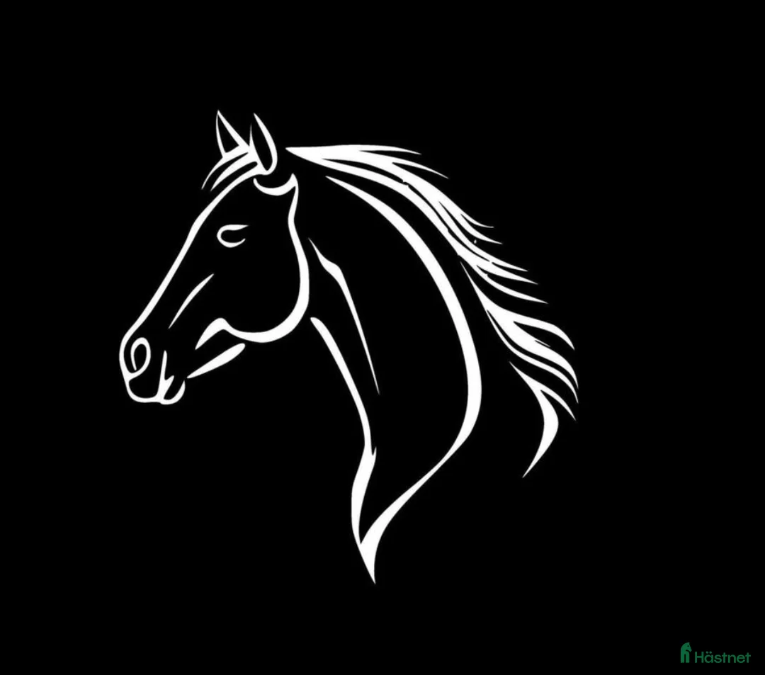 Hoppning hästar sökes: Hopphäst till junior sökes  i Enköping - Annons 1