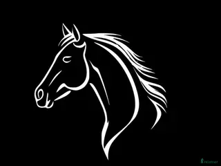 hästar Hopphäst till junior sökes - Annons 3