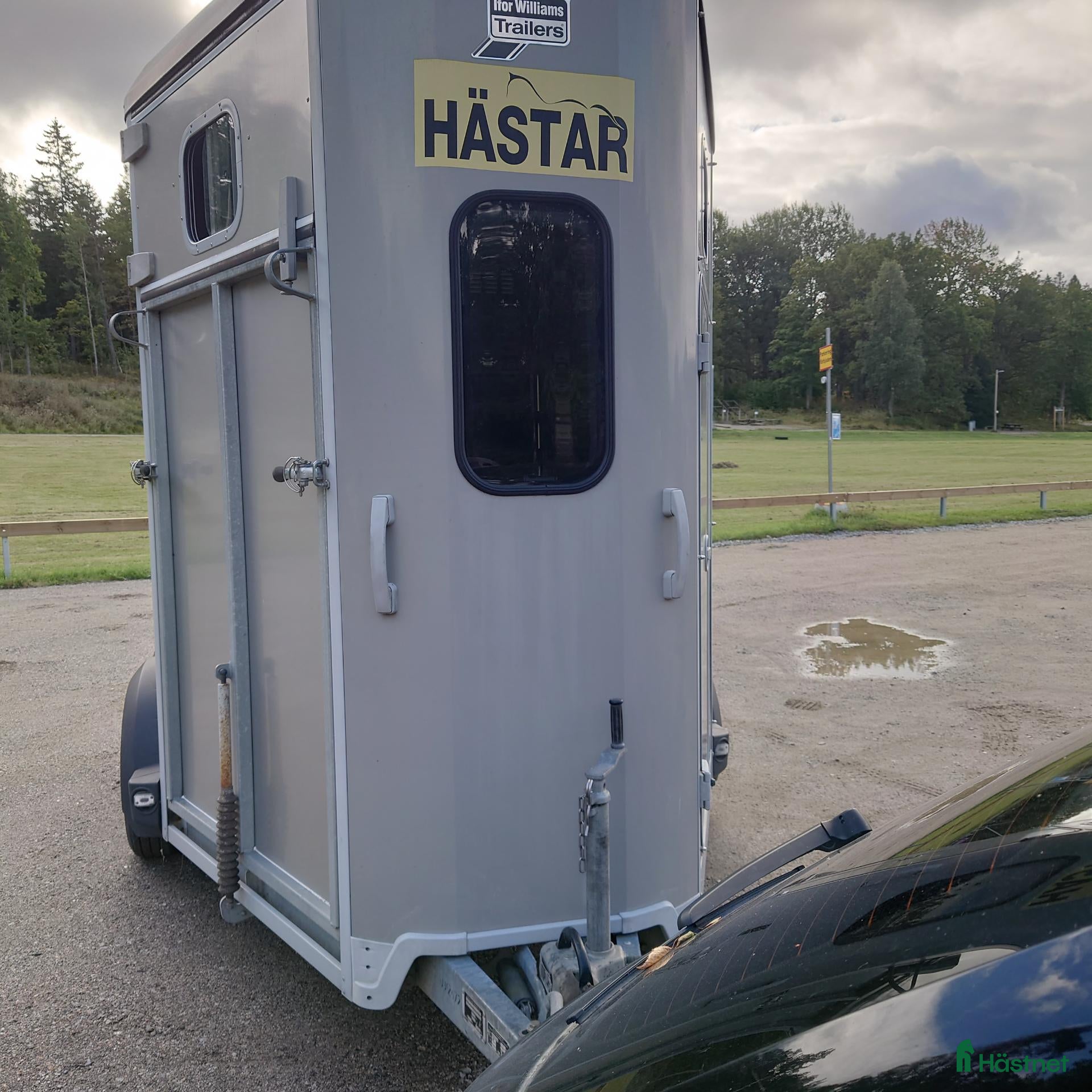 Hästtransporter  fordon & transport till salu: IFOR WILLIAMS HB 511 årsmodell 2013 - Annons 2