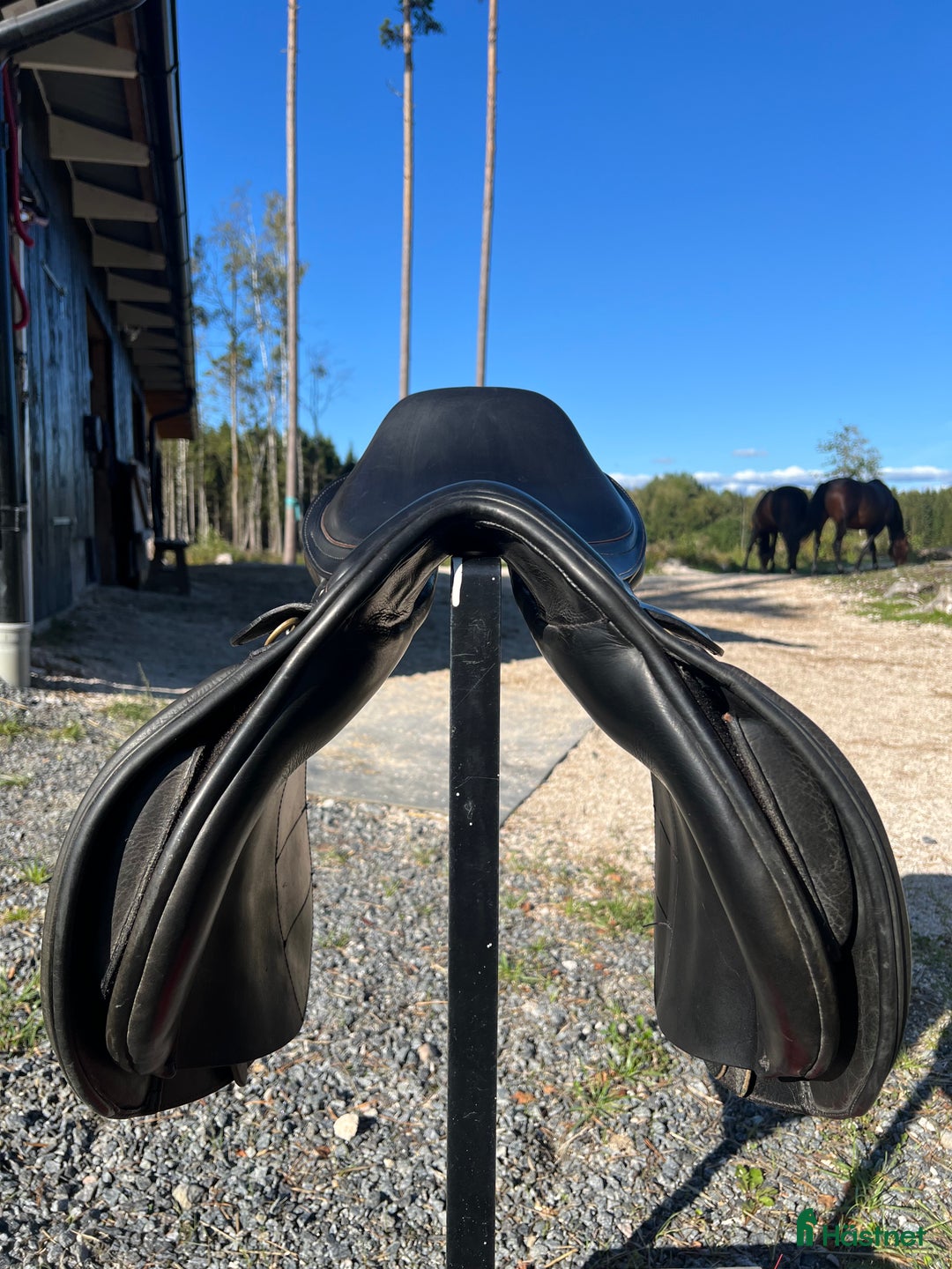 Sadlar hästutrustning till salu: Santa Cruz 17” i Borås - Annons 4