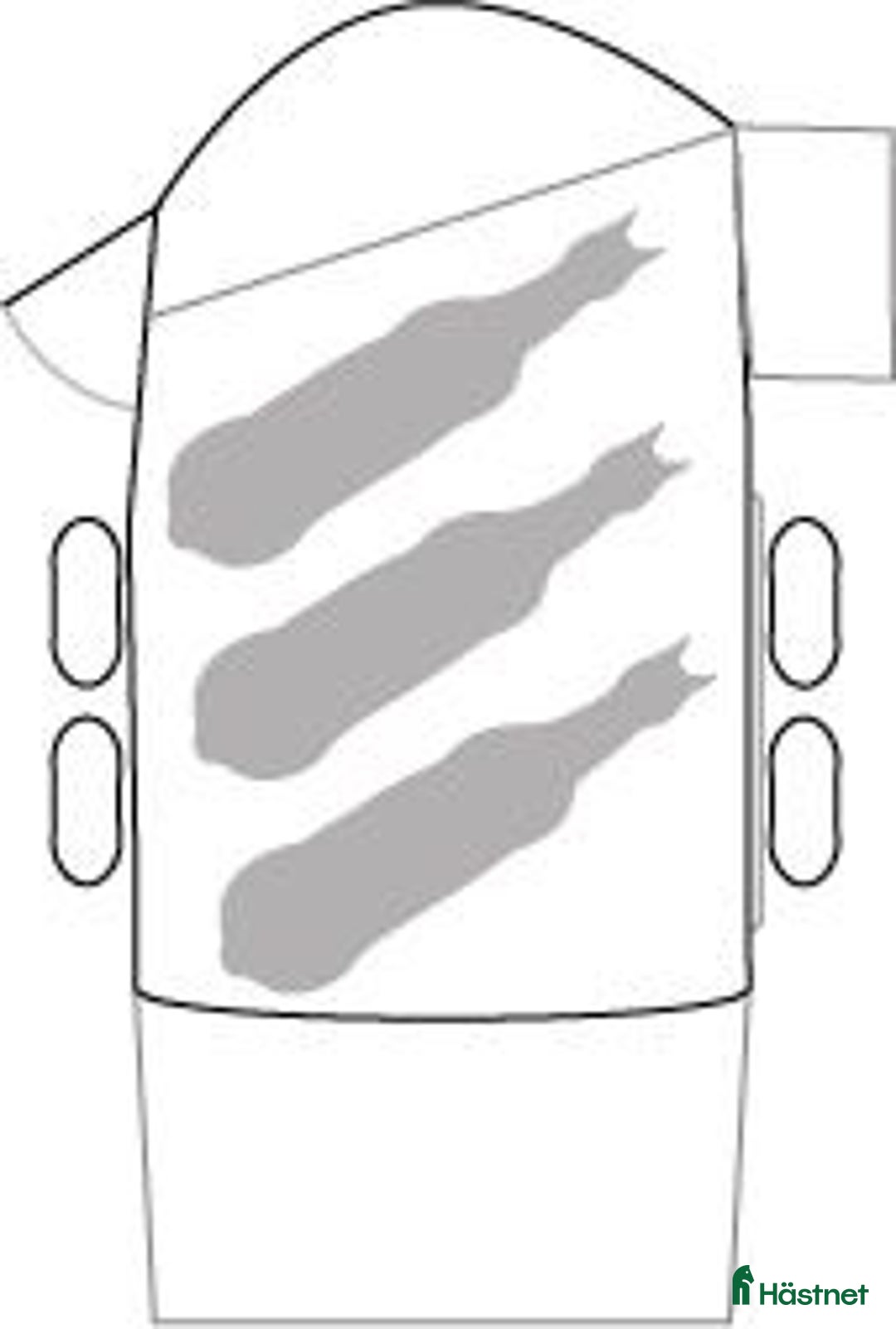 Hästtransporter  fordon & transport till salu: Cheval Liberte Maxi 3 i Harestad - Annons 6