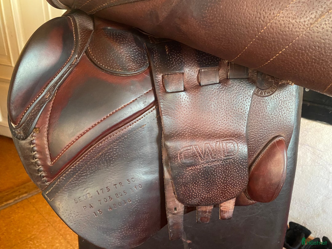 Sadlar hästutrustning till salu: CWD SE02 kalvskinn i Strömsholm - Annons 2