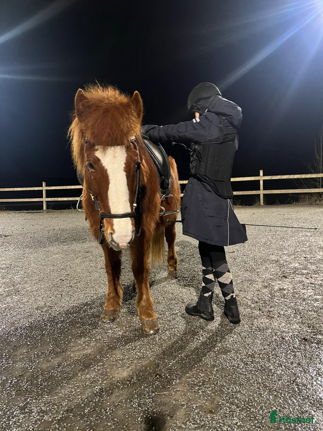  medryttarhäst sökes: Söker medryttarhäst nära Järfälla!! - Annons 2