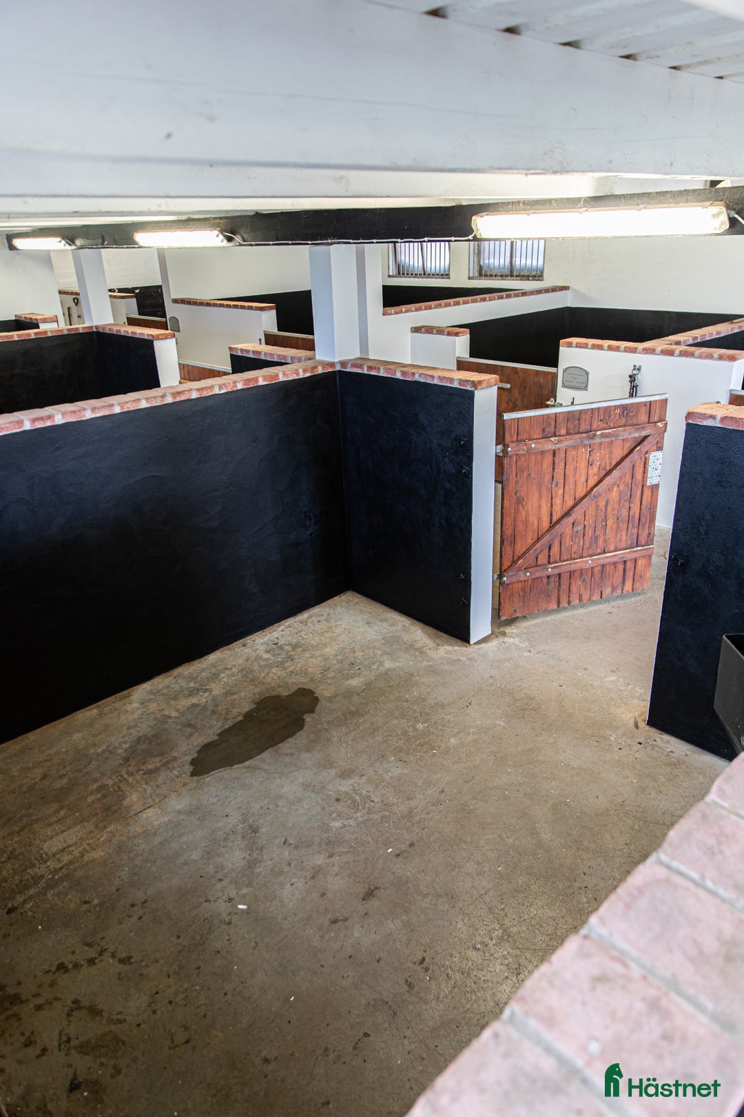  stallplats finnes: Stallplats med fullservice  i Bjärnum - Annons 4