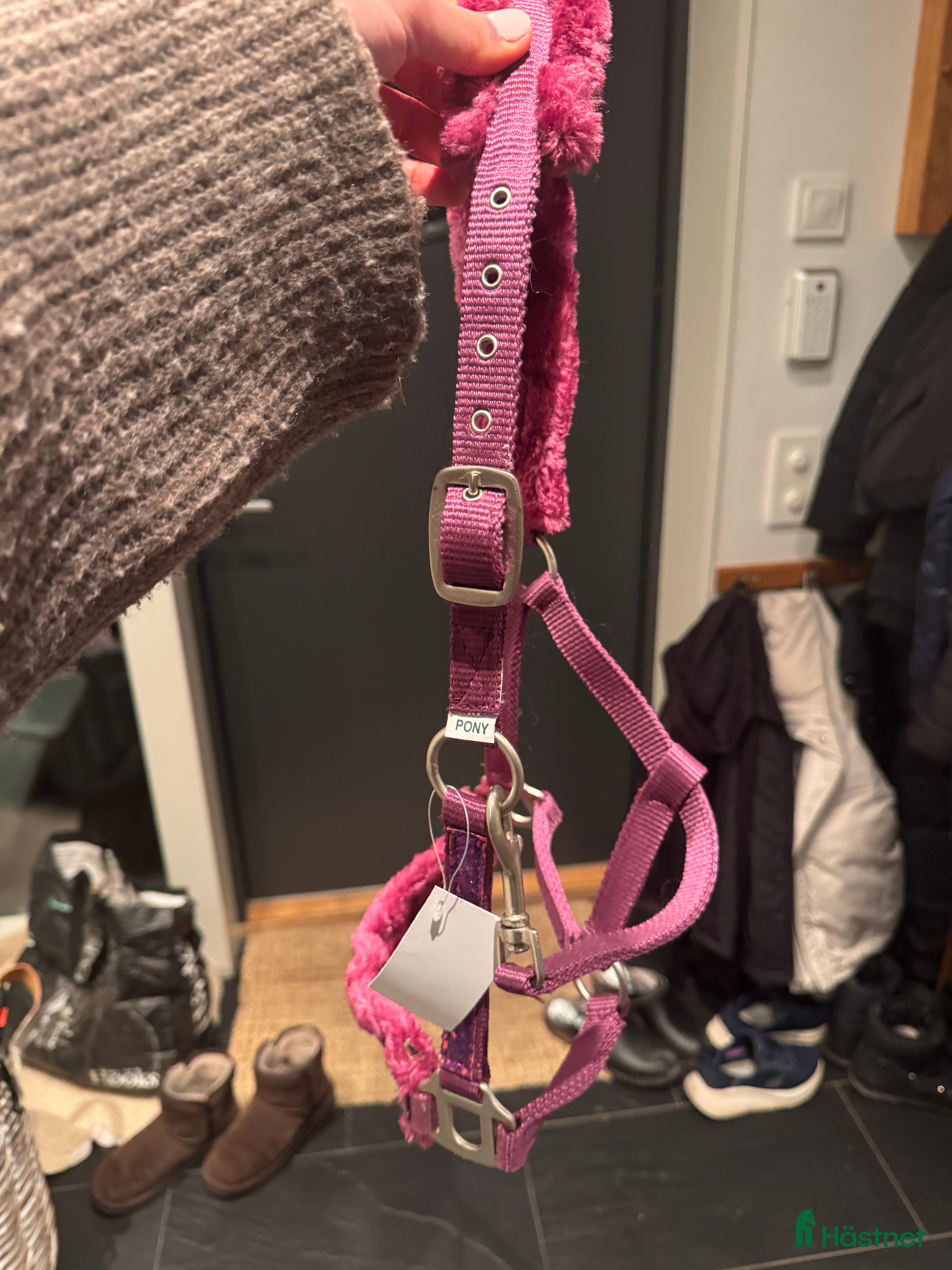 Övrig Hästutrustning hästutrustning till salu: Helt oanvänd grimma i Saltsjö-Boo - Annons 5