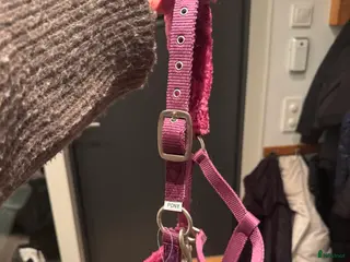 Övrig Hästutrustning hästutrustning Helt oanvänd grimma i Saltsjö-Boo - Annons 15