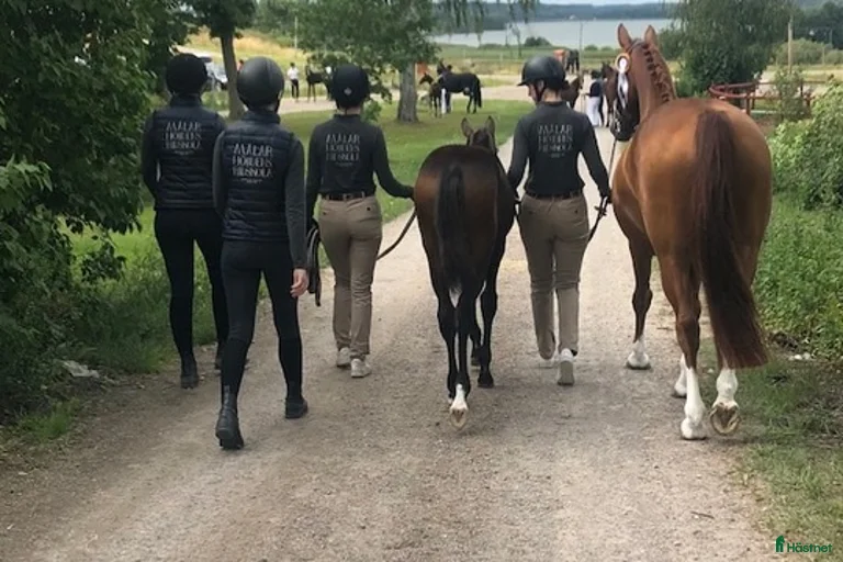 Galleribild {{count}}