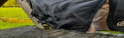 Täcken hästutrustning till salu: Halvhals tjockfodrat vintertäcke - Annons 6