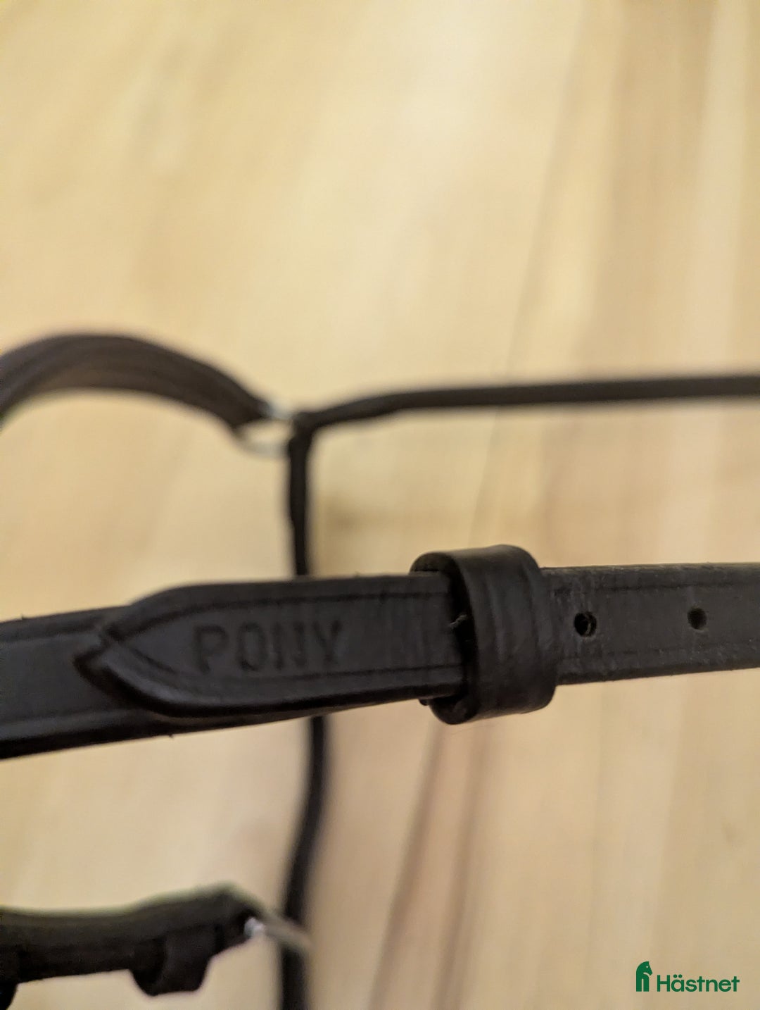 Träns hästutrustning till salu: Remontnosgrimma i Ås - Annons 4