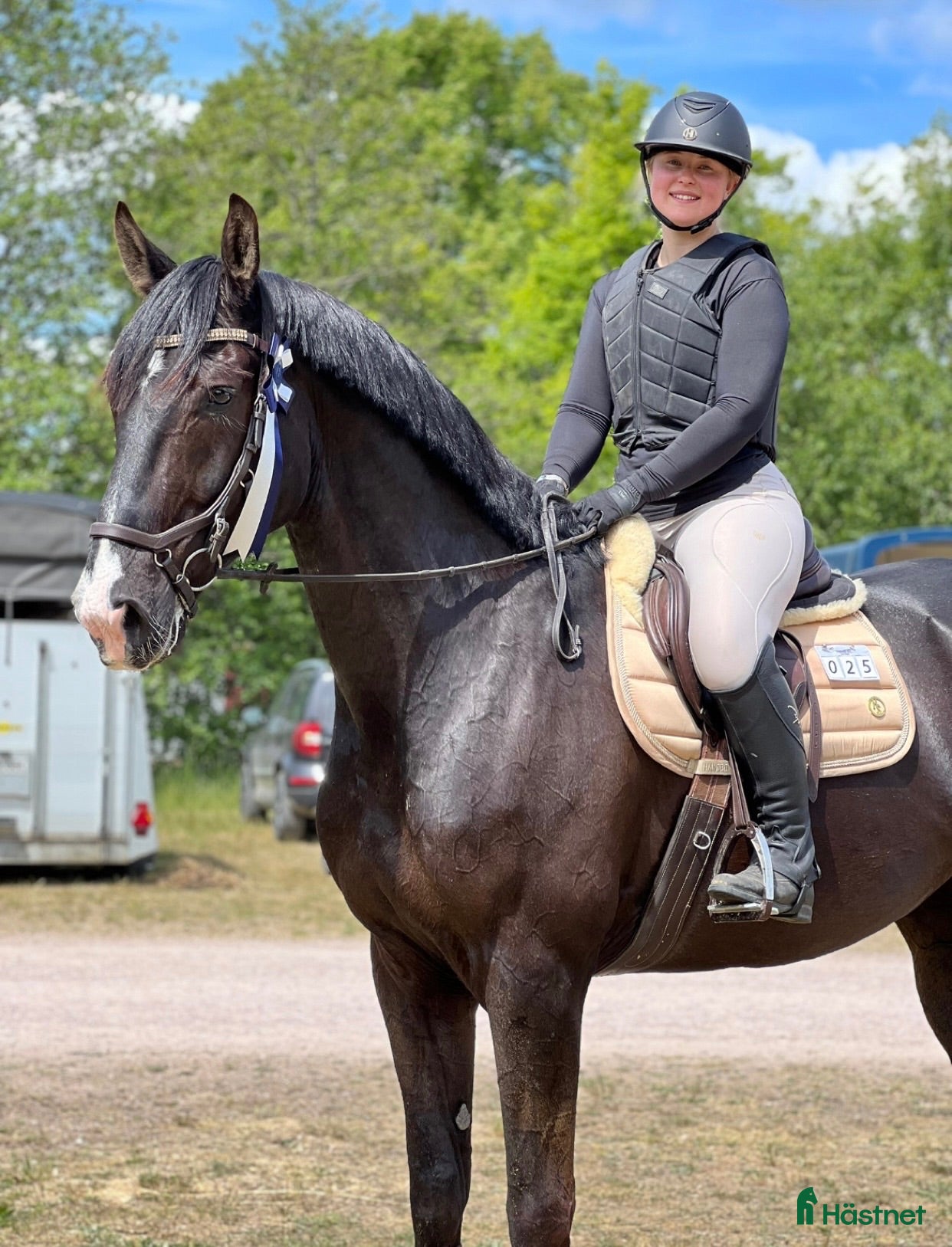  hästar Trevlig valack 9 år (SWB) - Annons 2