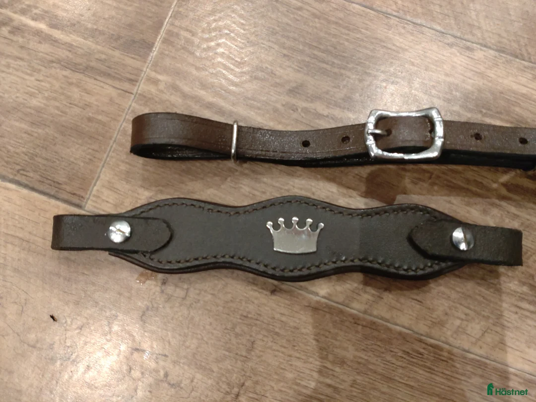 Träns hästutrustning till salu: Hackamore nosdel med silver krona i Klippan - Annons 1