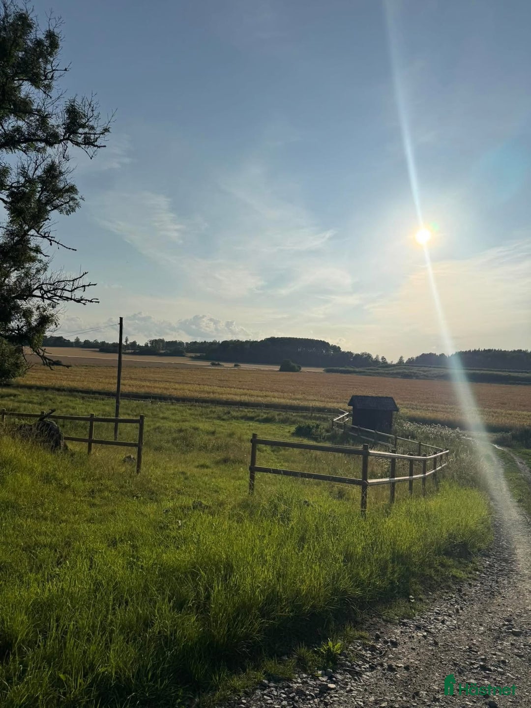  stallplats finnes: Stallplatser lediga i Skokloster – Stall Frista - Annons 3