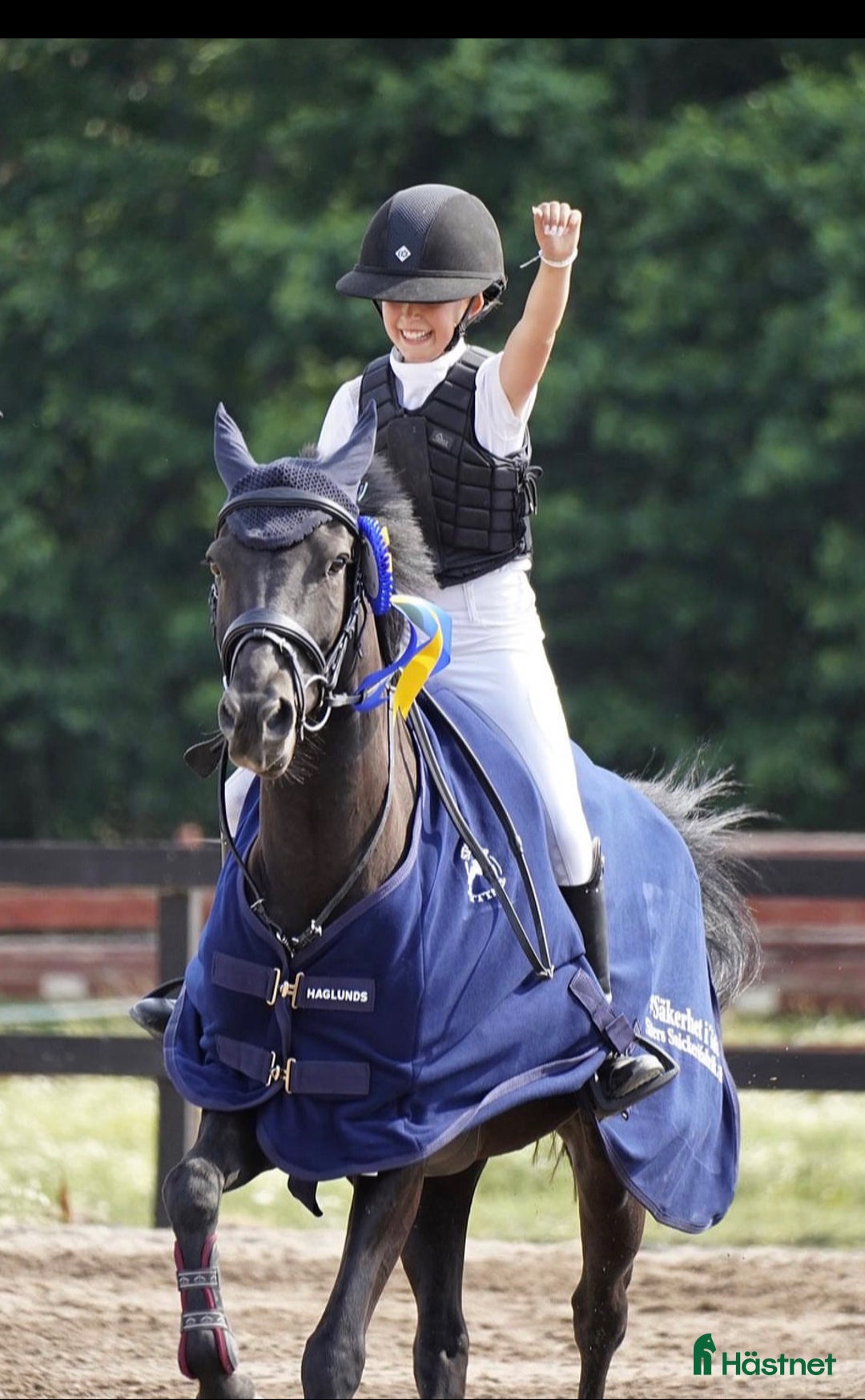 Hoppning hästar till salu: Fantastisk läromästare 🩵😇💫 i Åkersberga - Annons 2